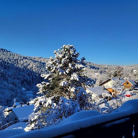 Grosse Ferienwohnung In Ruhiger Lage Mit Toller Aussicht In Triberg Triberg im Schwarzwald Exteriér fotografie