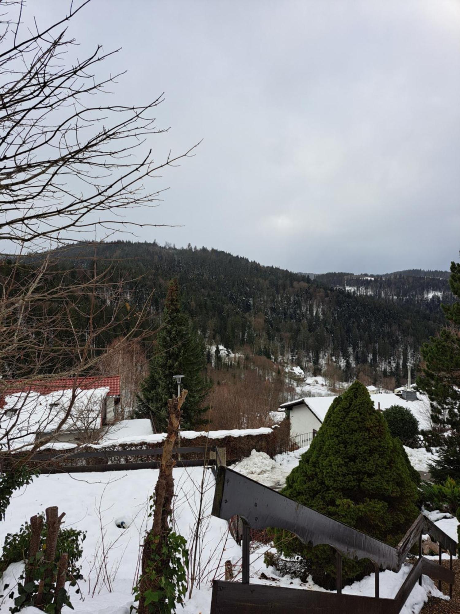 Grosse Ferienwohnung In Ruhiger Lage Mit Toller Aussicht In Triberg Triberg im Schwarzwald Exteriér fotografie