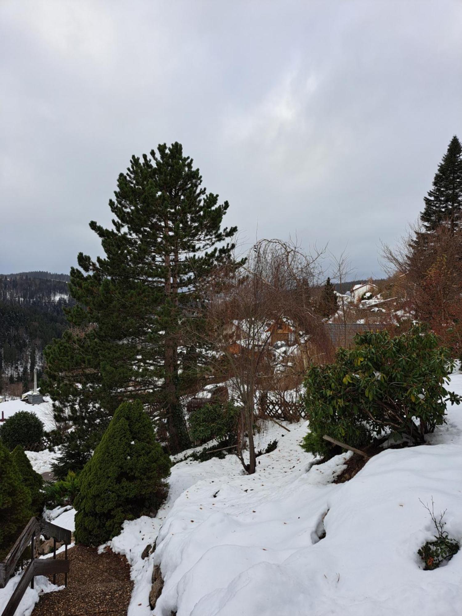 Grosse Ferienwohnung In Ruhiger Lage Mit Toller Aussicht In Triberg Triberg im Schwarzwald Exteriér fotografie