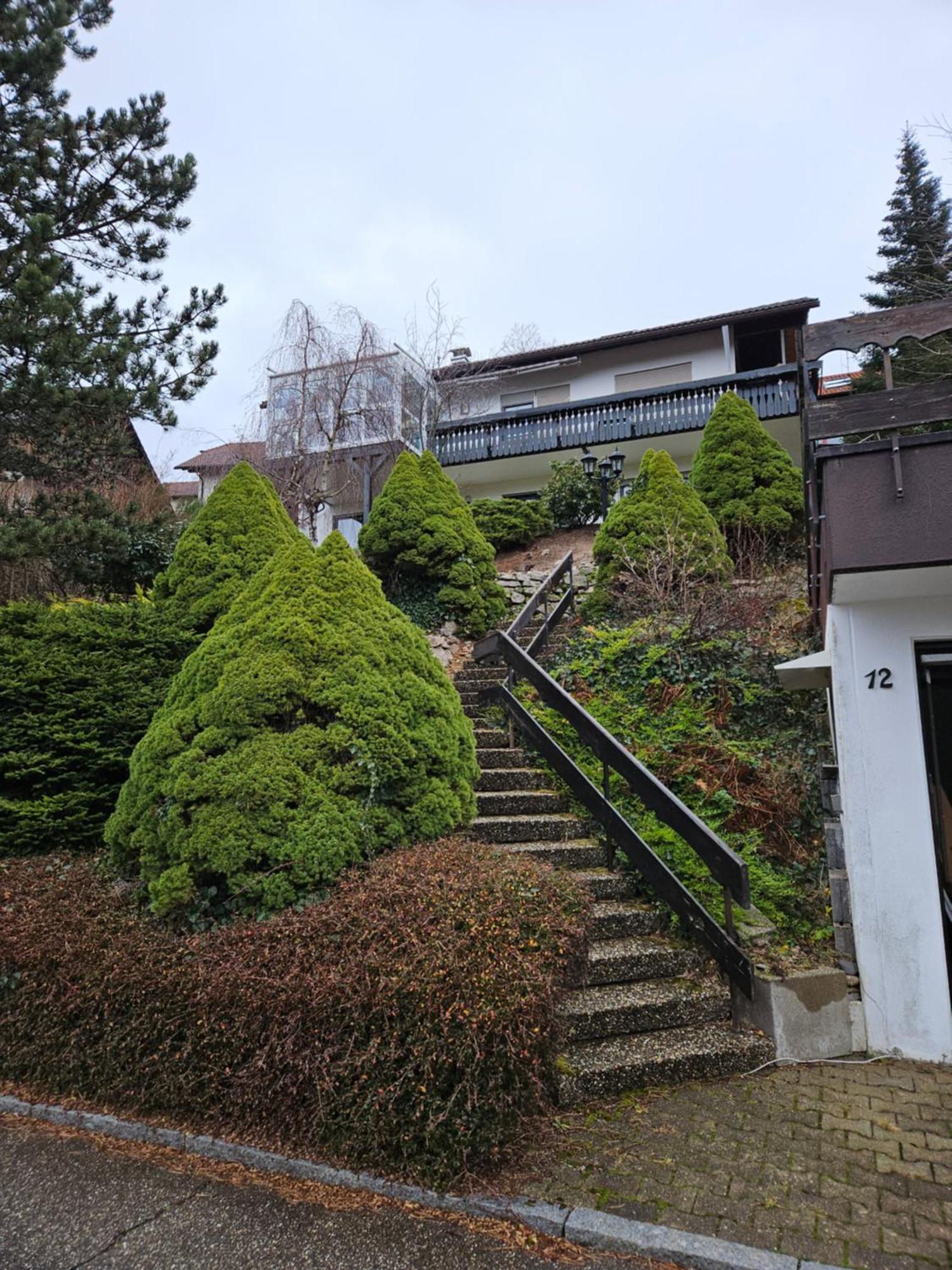 Grosse Ferienwohnung In Ruhiger Lage Mit Toller Aussicht In Triberg Triberg im Schwarzwald Exteriér fotografie