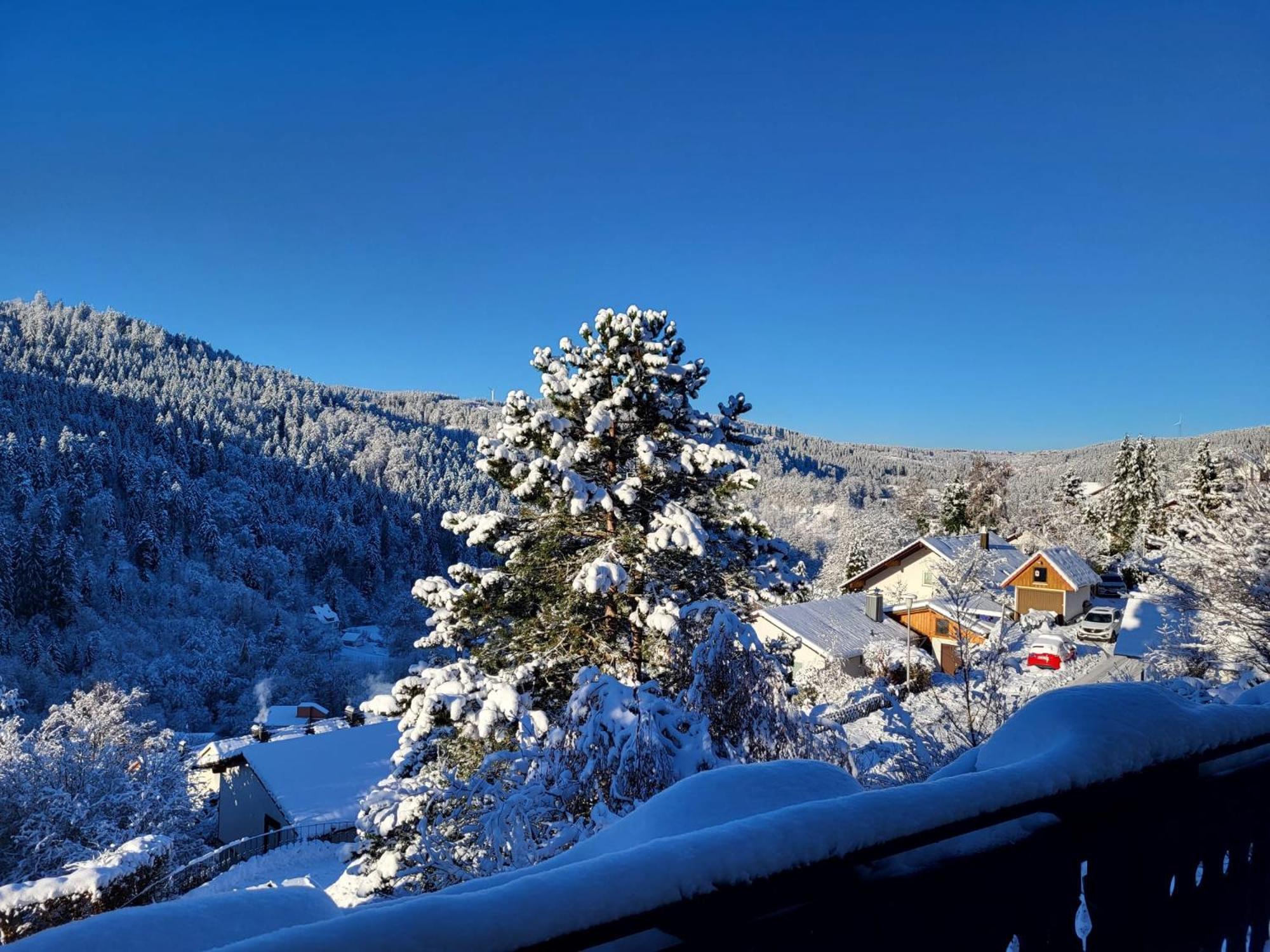 Grosse Ferienwohnung In Ruhiger Lage Mit Toller Aussicht In Triberg Triberg im Schwarzwald Exteriér fotografie