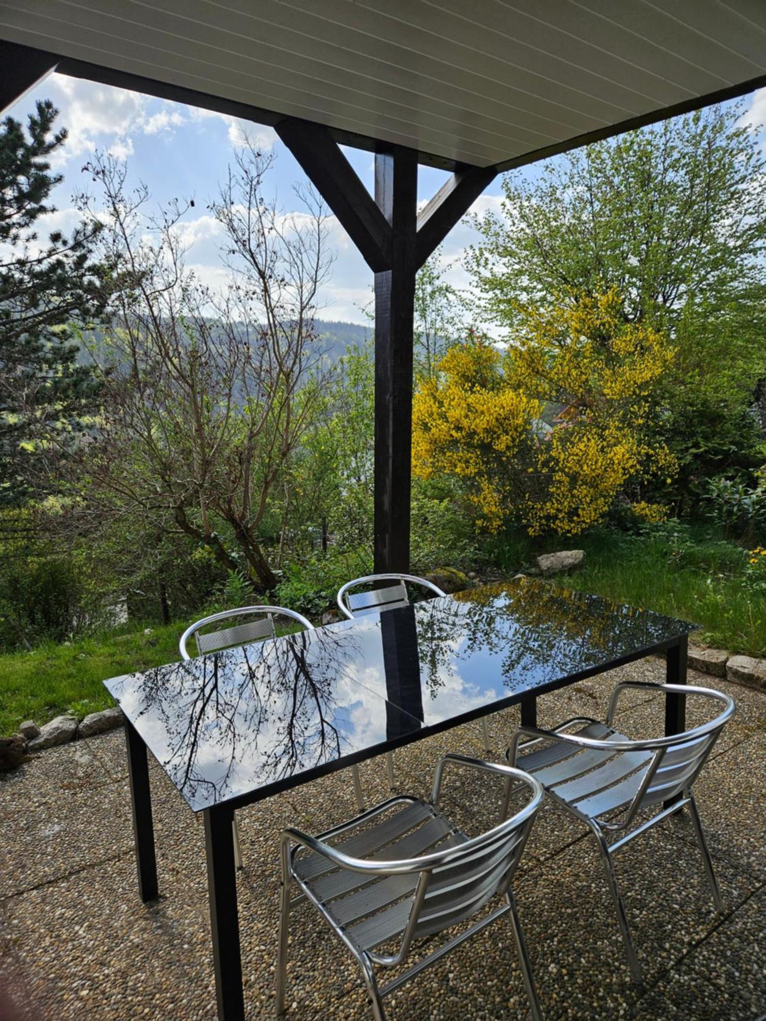 Grosse Ferienwohnung In Ruhiger Lage Mit Toller Aussicht In Triberg Triberg im Schwarzwald Exteriér fotografie
